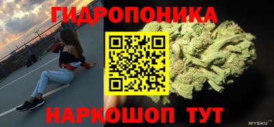стаф Малгобек