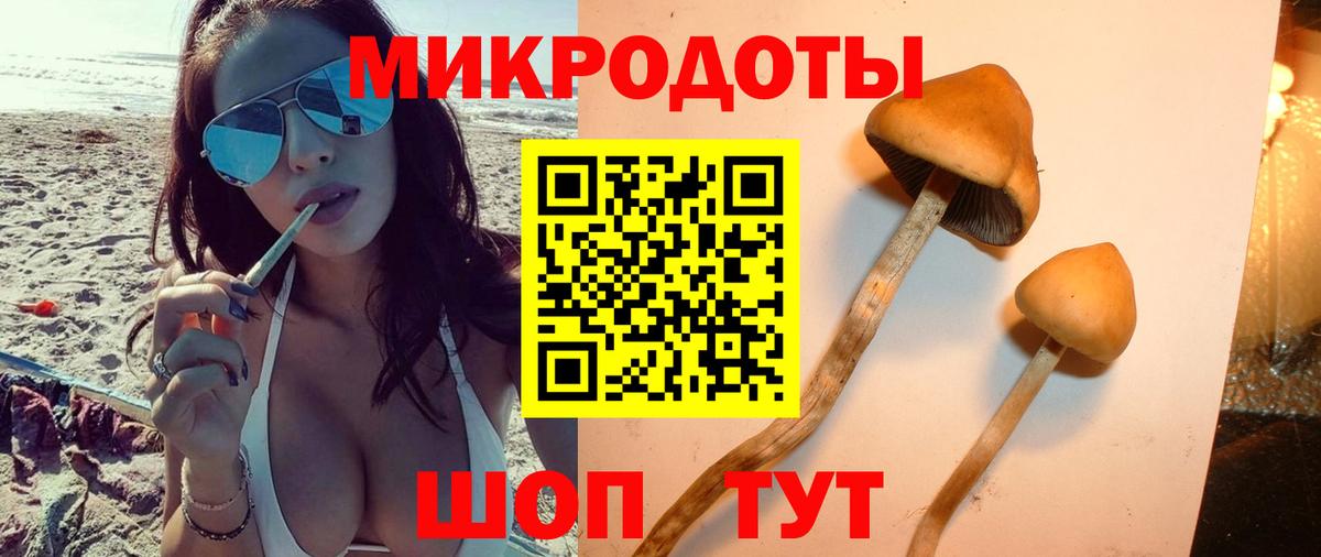 Галлюциногенные грибы GOLDEN TEACHER Новоуральск
