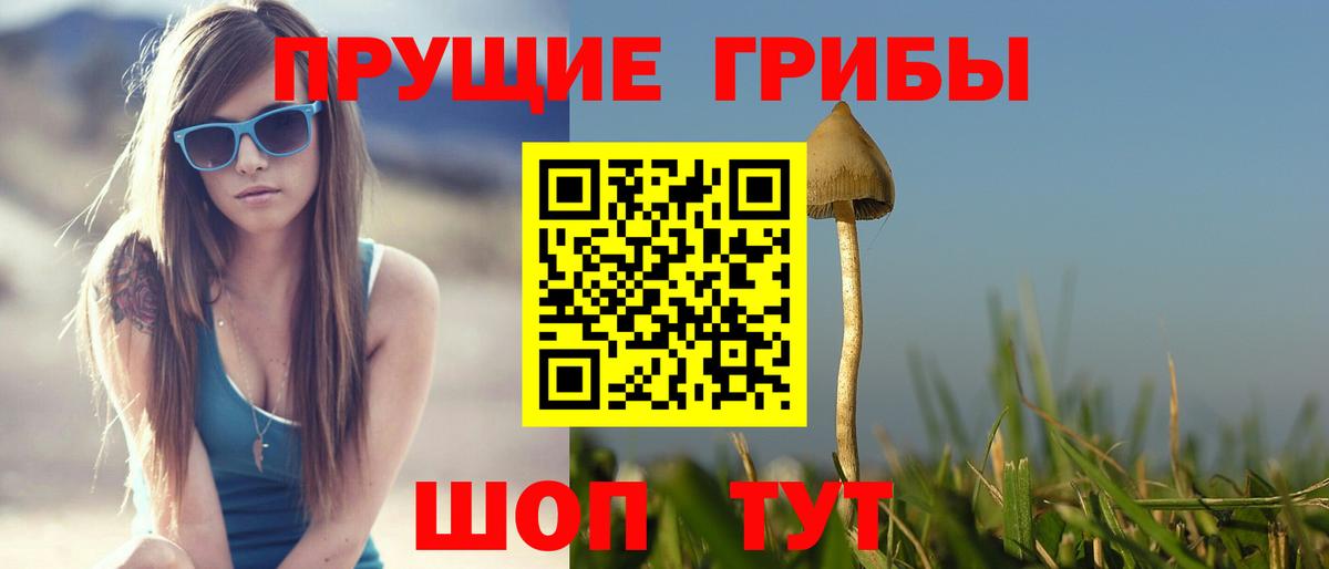 Галлюциногенные грибы GOLDEN TEACHER  Вход с VPN  Новоуральск 